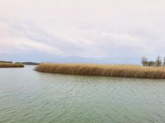 -野鸭湖国家湿地公园