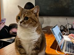 -咖法森林·咖啡  酒吧(天河店)