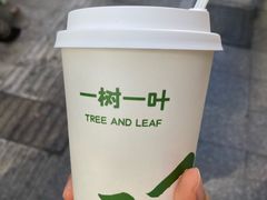 -一树一叶·福建茶档(石鼓路店)