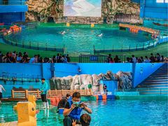 -威海华夏城景区