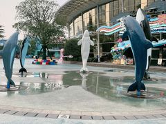 -海合安成都极地海洋公园