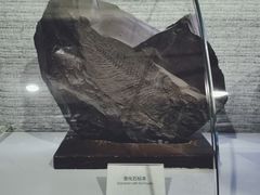 -抚顺煤矿博物馆