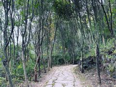 -金堂县云顶石城风景区