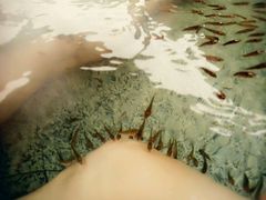 -咸宁万豪温泉谷度假区