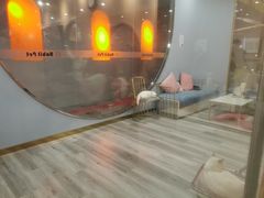 -BABIT巴比特宠物(MOMOPARK店)