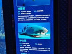 -波塞冬海底世界
