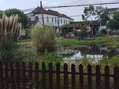 -莲花岛景区