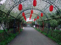 -嬉乐湾休闲旅游区