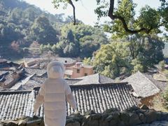 -杨家堂村