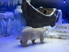 -芜湖新华联大白鲸海洋公园