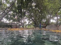 -湖泉半山温泉