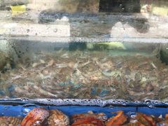 -龙溪海鲜酒家(溪涌店)