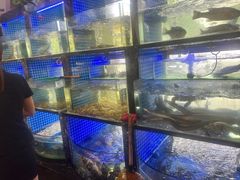 水产区-新天明砂锅鱼头煲