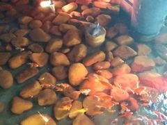 -新悦·霞浦海鲜生(上下杭店)