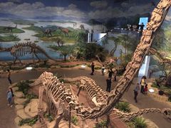 -自贡恐龙博物馆