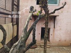 -青藏高原野生动物园