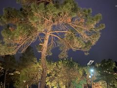 -南京市无想山景区