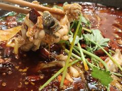 -鸿顺老铁锅美蛙鱼府(解放碑店)