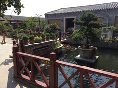 -顺德了能馆(虎门店)