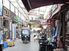 -中环花鸟鱼虫市场