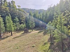 -广州市帽峰山景区