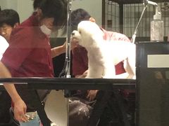 -宠物家(角门东店)