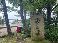 -天目山大树王景区