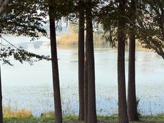 -贡湖湾湿地公园