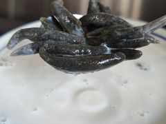 -文昌邓记清补凉(西沙路店)