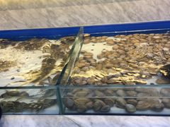 -川骄海鲜自助(河东店)