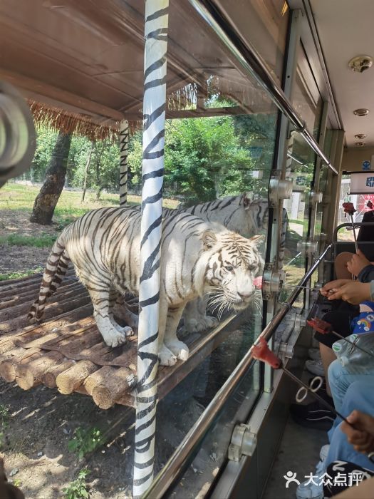 西安秦岭野生动物园图片