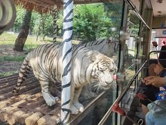 -西安秦岭野生动物园