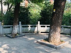 -长沙市青少年宫