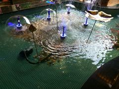 -水晶之星洗浴温泉汗蒸