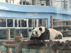 -大连森林动物园