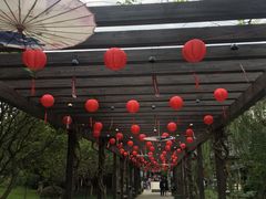 -白马涧龙池景区