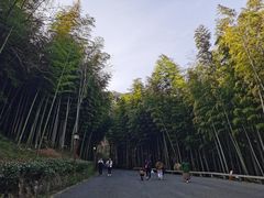 -穹窿山景区