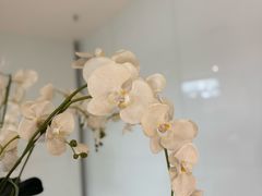 -成都银泰城