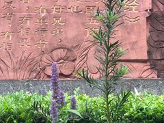 -广州神农草堂中医药博物馆