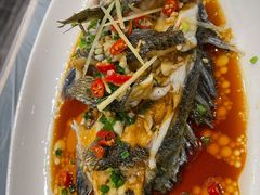 青石斑-阿杰臻选海鲜饭店(普陀山店)