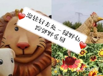 ️溜娃好去处—绿野仙踪郊野乐园
