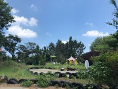 -威海影视基地