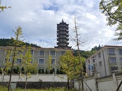 -大围山国家森林公园