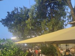 -蘇河湾·新鲁菜·泰山宴(泰山店)