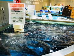 水产区-盒马鲜生(杭州运河上街店)