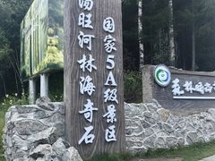 -汤旺河林海奇石景区