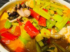 泡椒八爪鱼-泉味道贵州厨房(三里河店)