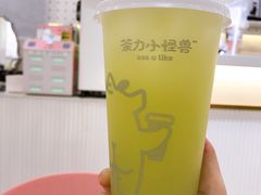 山泉油柑（绿屁屁）-茶力的小怪兽(梅林卓悦汇店)