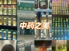 -广东中医药博物馆