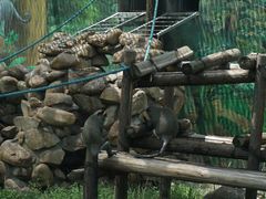 -西安秦岭野生动物园